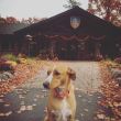 Lodge Image